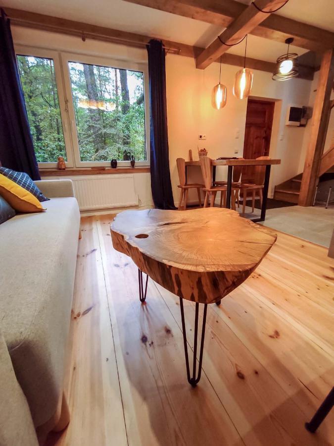 Вилла Konwaliowe Zacisze - Chillout W Lesnej Aurze Вильга Экстерьер фото